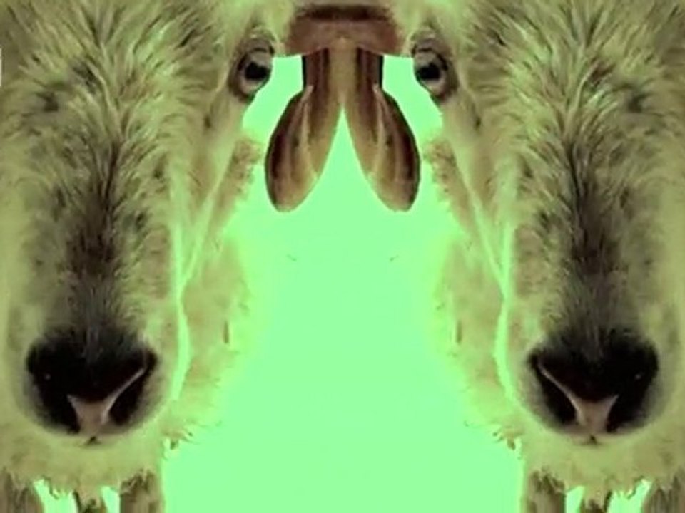 Boundzound - MTV All Eyes On Part2 - Official HQ