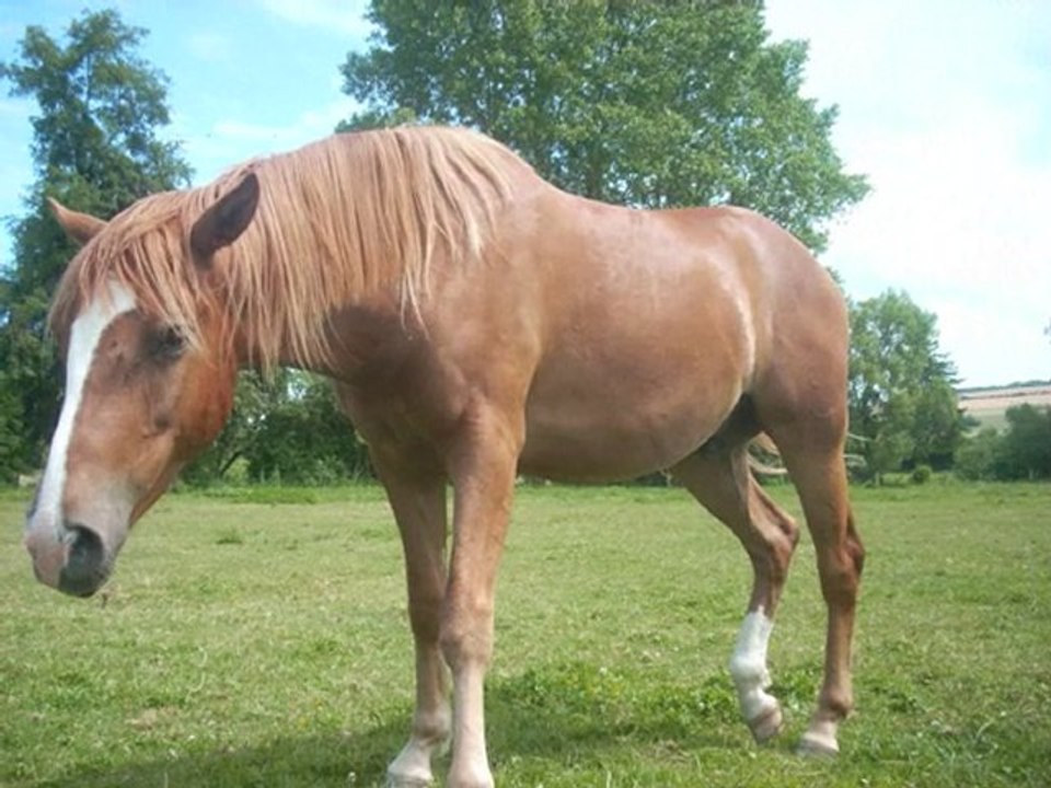 ulis et ses copains, été 2010