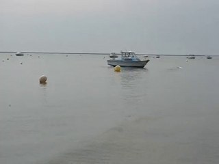 Noirmoutier : bateaux