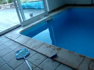 Pokémon Donjon Mystere Episode 1 Le Premier Jour Partie 2