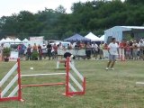 Cayenne Agility 2 Finale GPF Creusot 2010