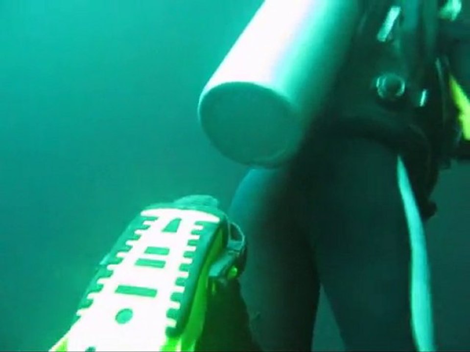 Tauchen auf Yucatan -Teil3