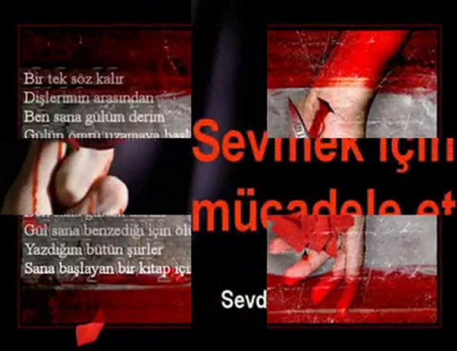 Yılmaz Erdoğan-Iyimser Bir Gül