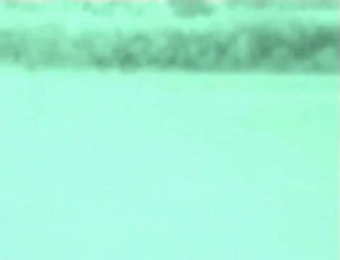 crops cercle.anomalie.2008