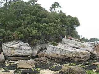 Noirmoutier : Bois de la Chaize