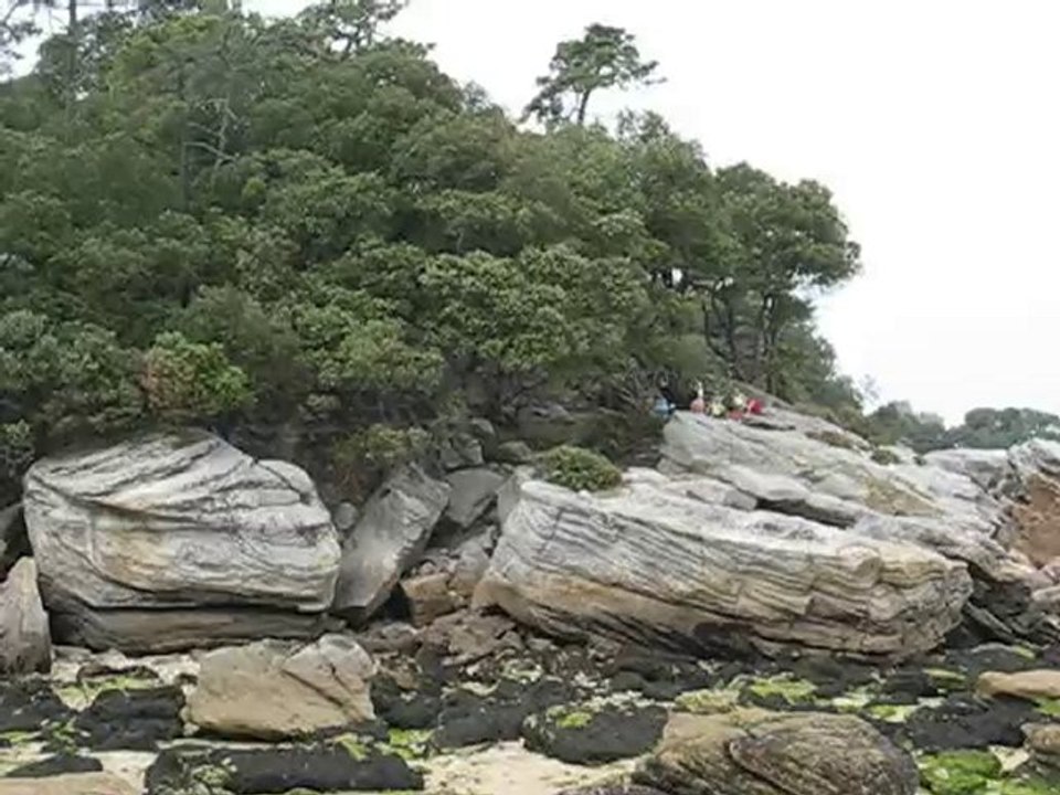 Noirmoutier : Bois de la Chaize