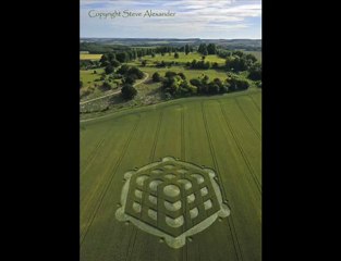 Crop circles Danebury Hill & Sutton Bank 5 & 6 Juillet 2010