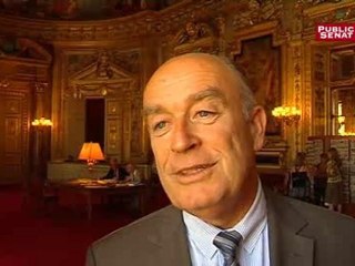 Réforme territoriale : les centristes debout.