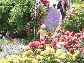 Caen, ville fleurie ?