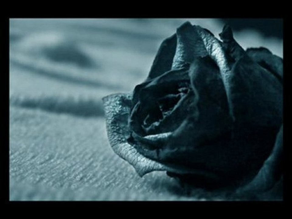 Serdar Ortaç- Yürek haini