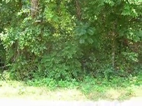 Buying Land, Buying land Nelson, Buy land Nelson