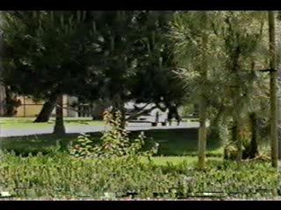 Un saut en roller