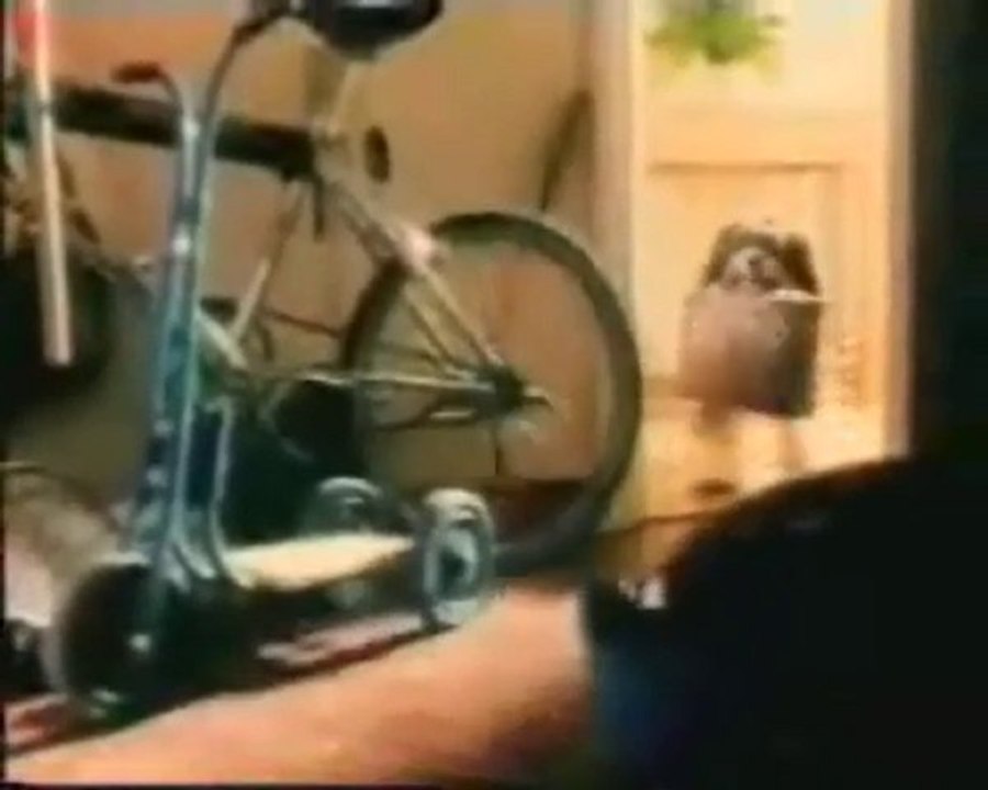 Lobotomisé depuis la naissance..