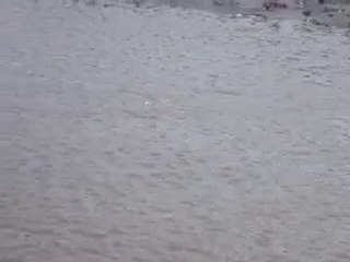 Skinny Water Redfish - Charleston Fishing