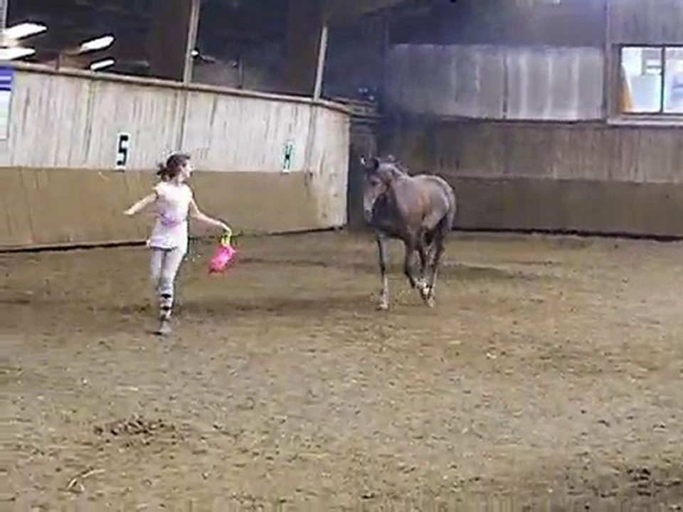 Ondée qui court après le sac =)