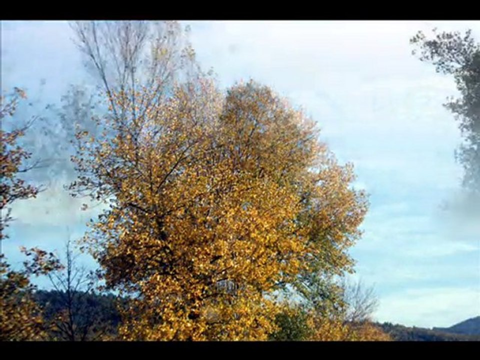 Balade d'Automne