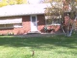 Homes for Sale - 1406 Meadow Ln - Glenview, IL 60025 - Coldw