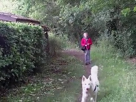 piste de recherche utilitaire