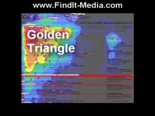 NCM 20 Group Dealers NADA 20 Group Dealers and SEO speciali