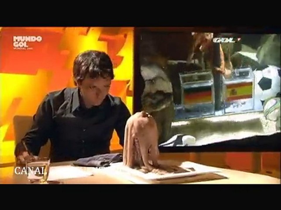 EL PULPO PAUL HA MUERTO 07-07-2010
