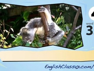 Learn English with Australian Animals - Educational Video