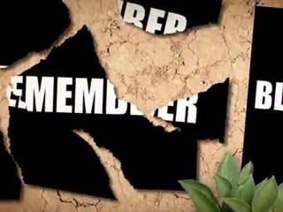 What do you need to get more Web Traffic?