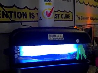 Ray Webber at the Markets