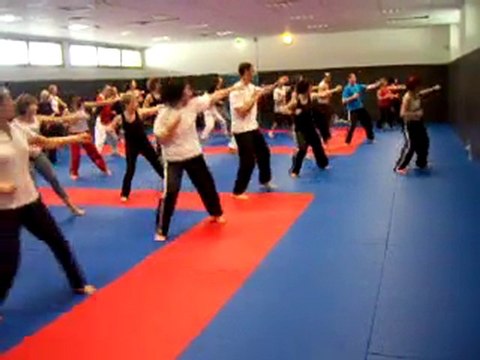 Stage Body Karate CPB Rennes Mars 2010