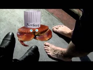 Le crabe nautilus et les pirates2