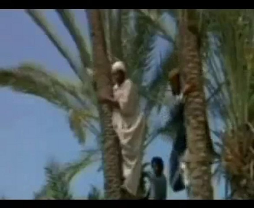 Ya Muhammed Mustafa selami güneş