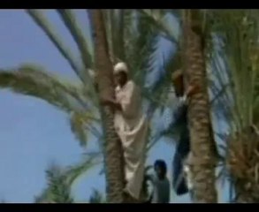 Ya Muhammed Mustafa selami güneş