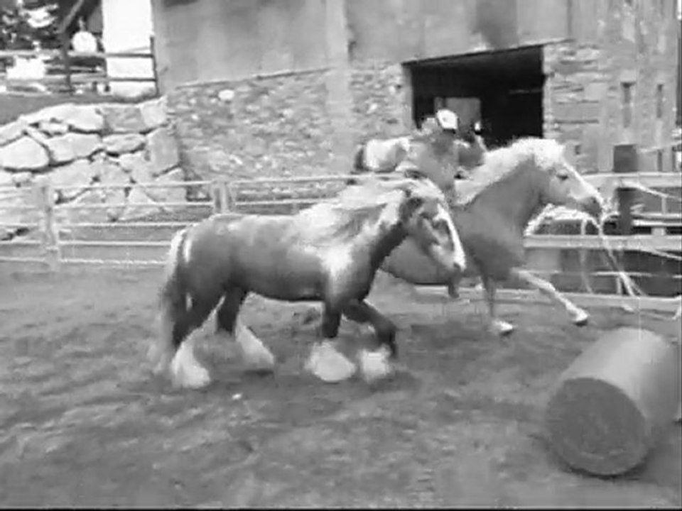 Travail a plusieurs- Tao Jarny Mélie Bianca