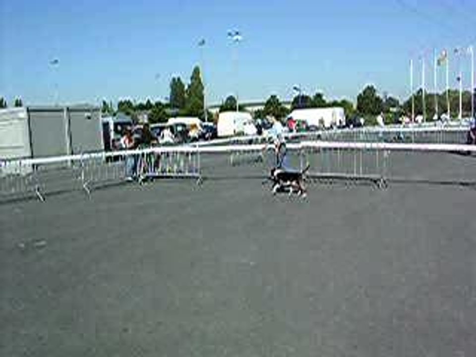 Expo de douai 1