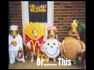 Free Software Download Sites