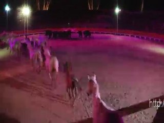 Rencontres équestres Méditerranéennes 2010