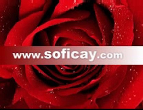 Mestu hayranım - ilahi dinle