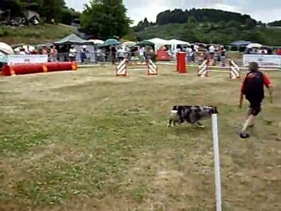 antoine-finale GPF 2010 agility1