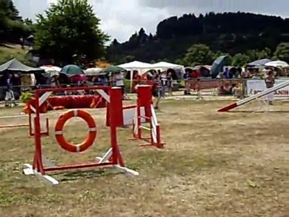 antoine-finale gpf 2010-agility 2