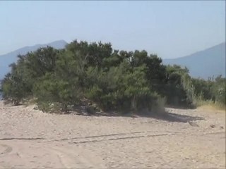 Plage Camping Calagogo Saint-Cyprien Ete 2010