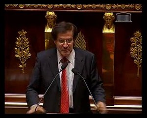 PA Muet Débat d'orientation des finances publiques 06072010