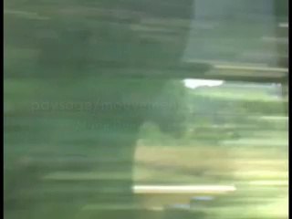 Marie-Dominique Guibal > paysage/mouvement - juin 2010