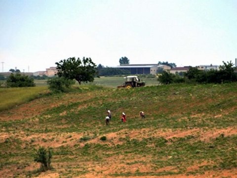 orhan gencebay 2010 diriliş enstrumental