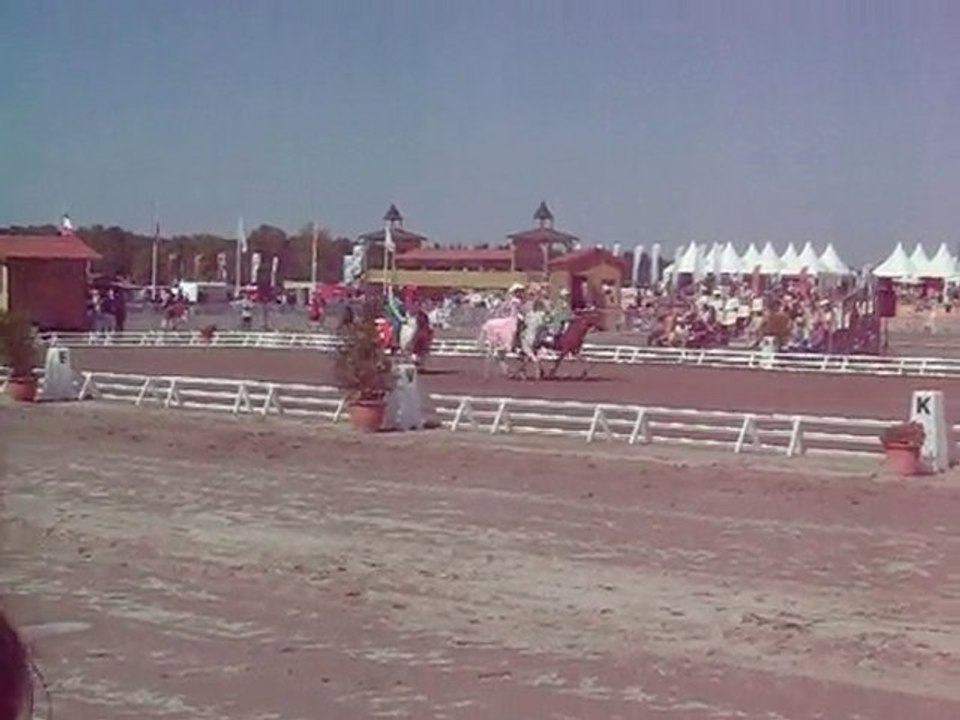 Carrousel Mario Lamottre Beuvron 2010