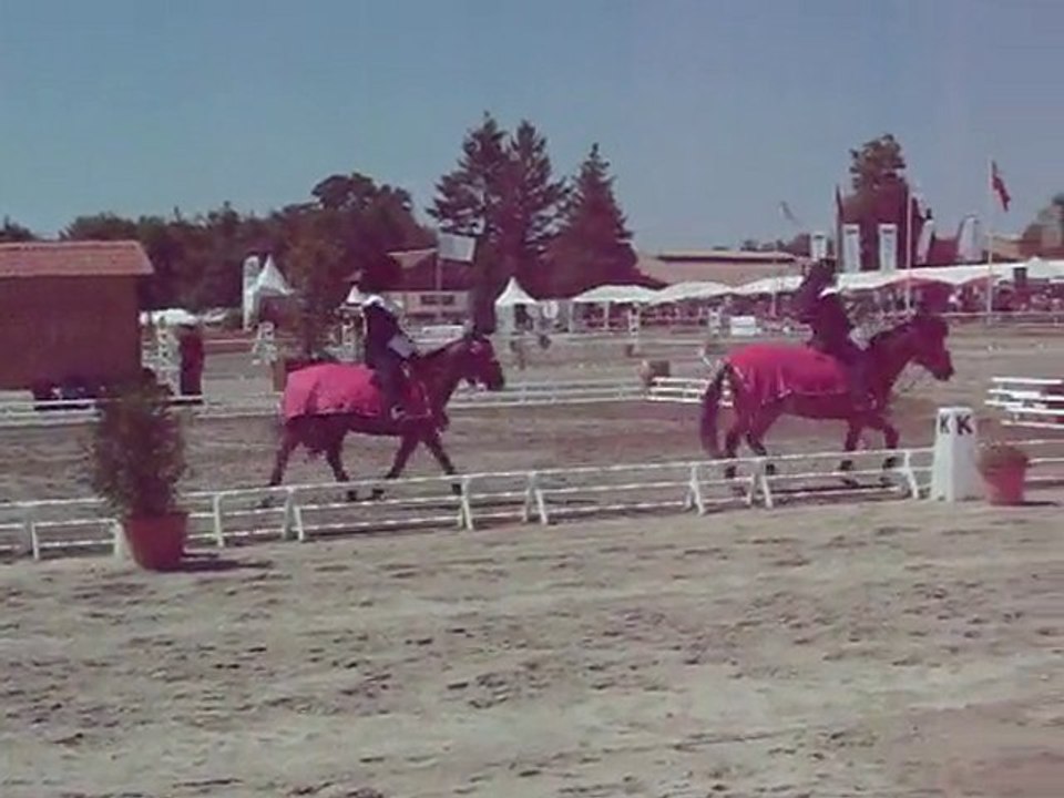 Carrousel Sister Act Lamottre Beuvron 2010