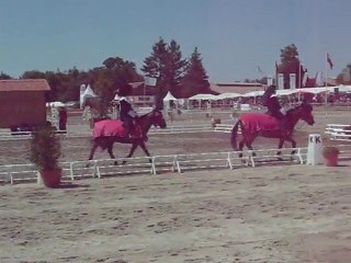 Carrousel Sister Act Lamottre Beuvron 2010
