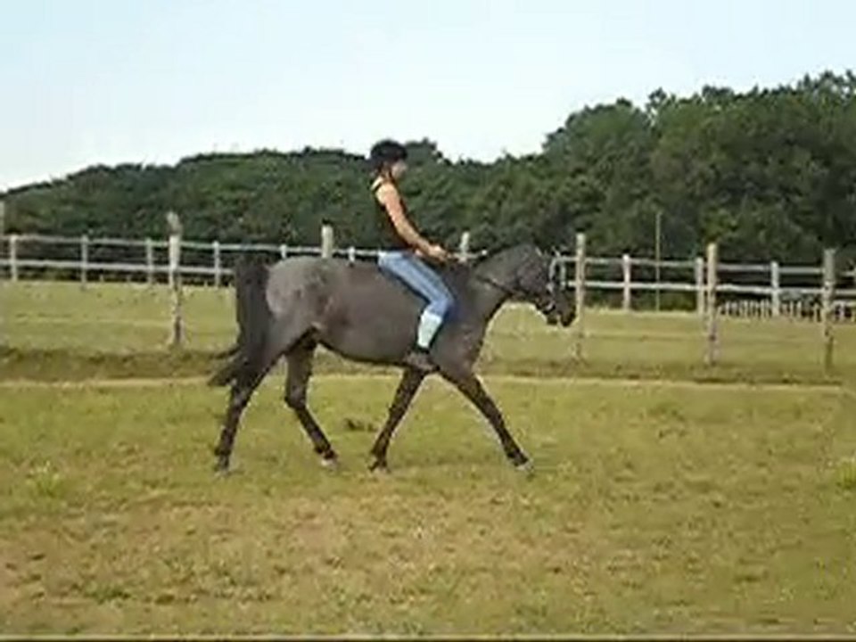 Premiers pas à cru !