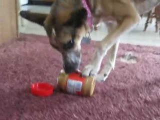 Zoe Opens and Unseals Peanut Butter Jar