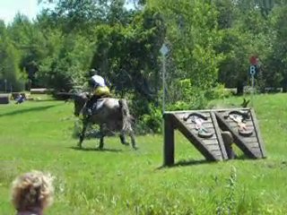 napierville training