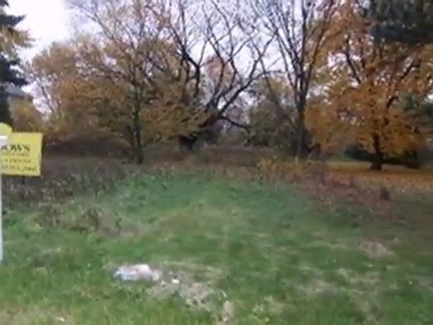 Homes for Sale - 4S 241 MEADOW Road - Naperville, IL 60563 -