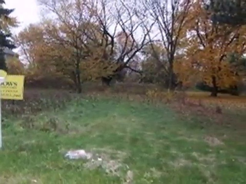 Homes for Sale - 4S 241 MEADOW Road - Naperville, IL 60563 -